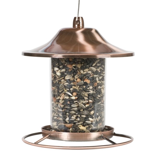 bird-feeder bird-feeder